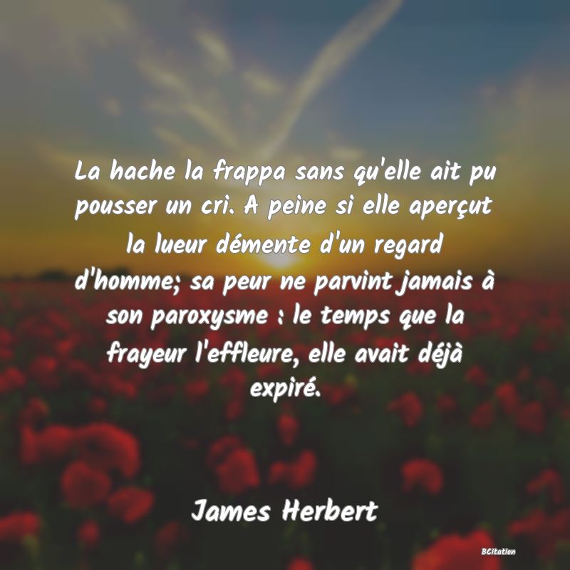 image de citation: La hache la frappa sans qu'elle ait pu pousser un cri. A peine si elle aperçut la lueur démente d'un regard d'homme; sa peur ne parvint jamais à son paroxysme : le temps que la frayeur l'effleure, elle avait déjà expiré.