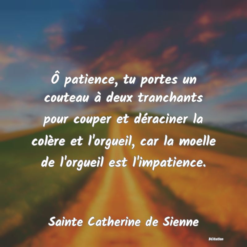 image de citation: Ô patience, tu portes un couteau à deux tranchants pour couper et déraciner la colère et l'orgueil, car la moelle de l'orgueil est l'impatience.