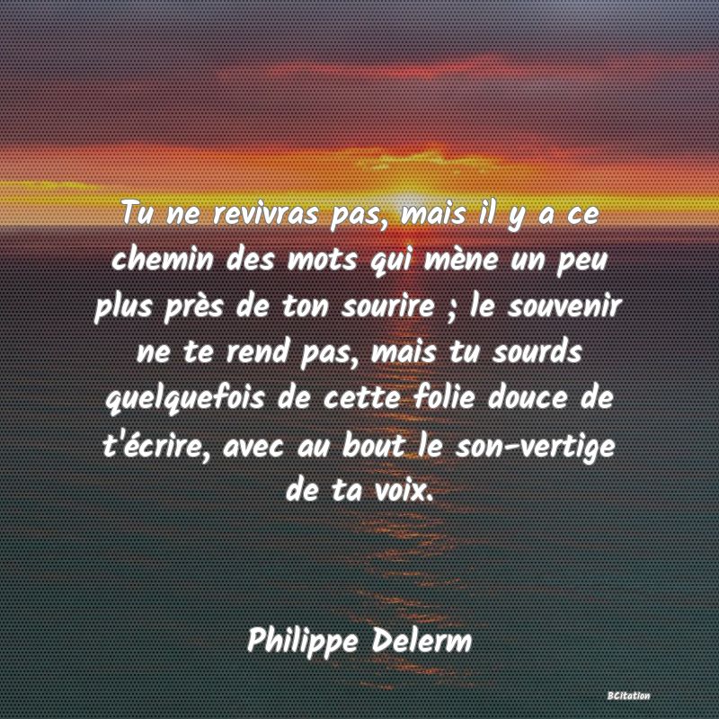 image de citation: Tu ne revivras pas, mais il y a ce chemin des mots qui mène un peu plus près de ton sourire ; le souvenir ne te rend pas, mais tu sourds quelquefois de cette folie douce de t'écrire, avec au bout le son-vertige de ta voix.