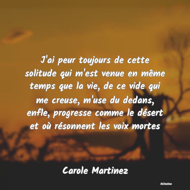 image de citation: J'ai peur toujours de cette solitude qui m'est venue en même temps que la vie, de ce vide qui me creuse, m'use du dedans, enfle, progresse comme le désert et où résonnent les voix mortes