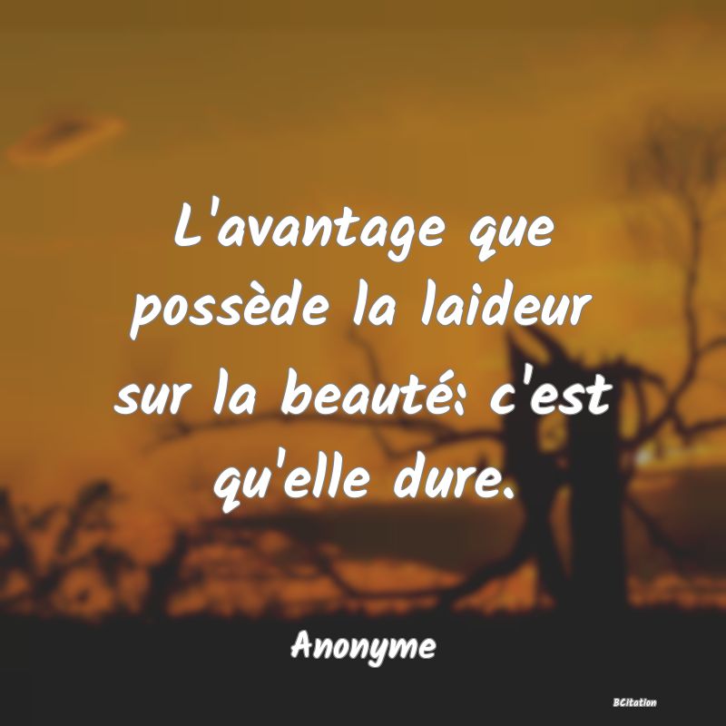 image de citation: L'avantage que possède la laideur sur la beauté: c'est qu'elle dure.