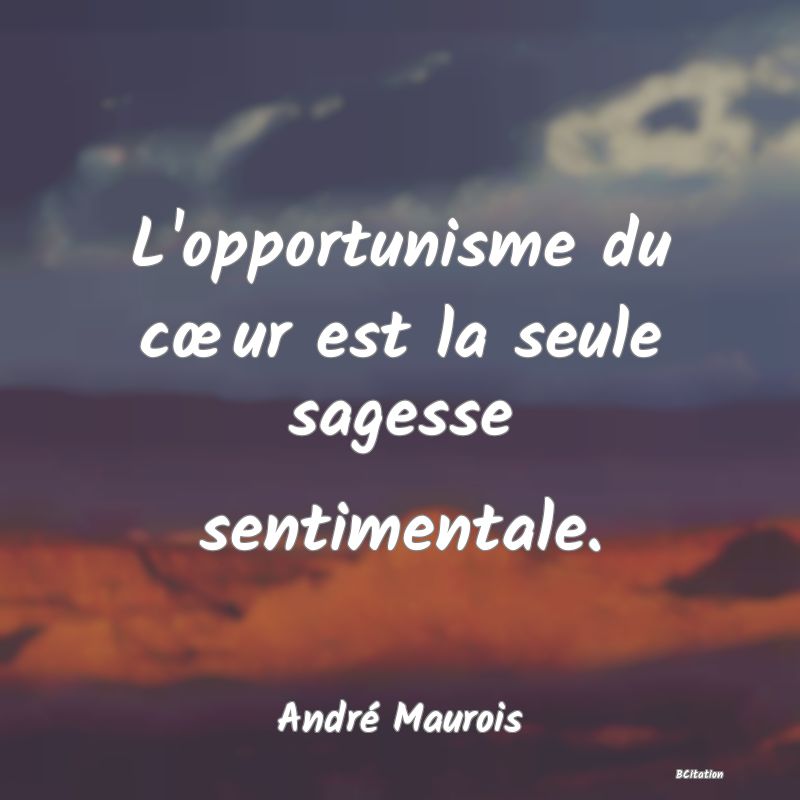 image de citation: L'opportunisme du cœur est la seule sagesse sentimentale.
