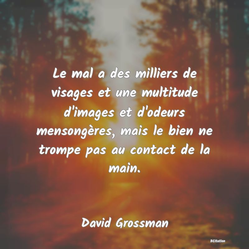 image de citation: Le mal a des milliers de visages et une multitude d'images et d'odeurs mensongères, mais le bien ne trompe pas au contact de la main.