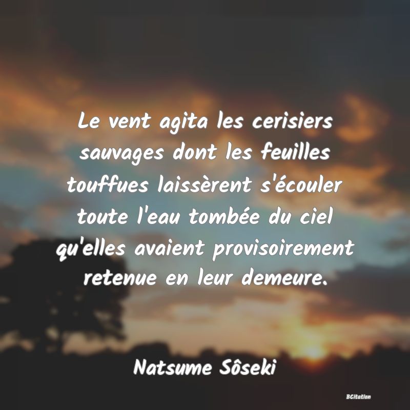 image de citation: Le vent agita les cerisiers sauvages dont les feuilles touffues laissèrent s'écouler toute l'eau tombée du ciel qu'elles avaient provisoirement retenue en leur demeure.