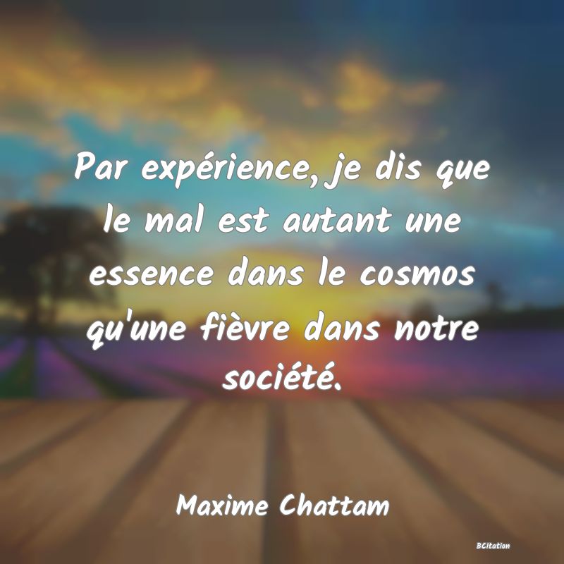 image de citation: Par expérience, je dis que le mal est autant une essence dans le cosmos qu'une fièvre dans notre société.