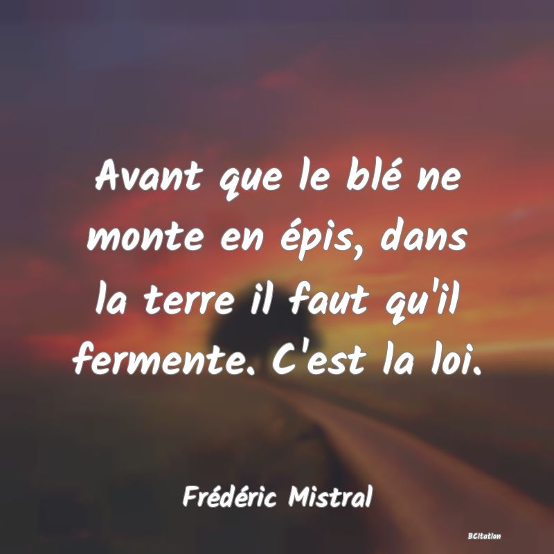 image de citation: Avant que le blé ne monte en épis, dans la terre il faut qu'il fermente. C'est la loi.