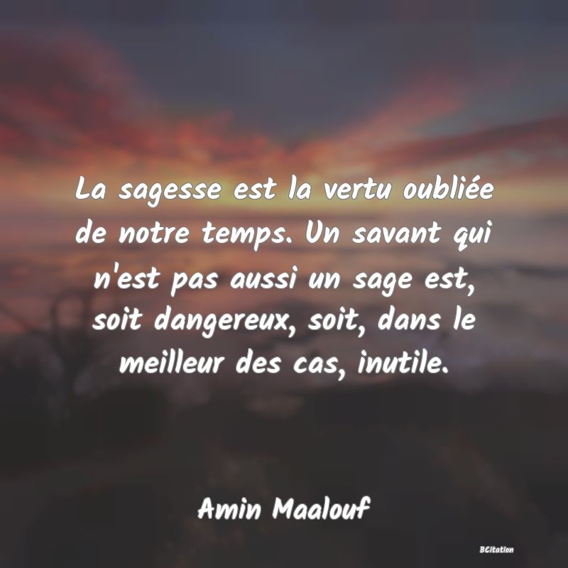 image de citation: La sagesse est la vertu oubliée de notre temps. Un savant qui n'est pas aussi un sage est, soit dangereux, soit, dans le meilleur des cas, inutile.