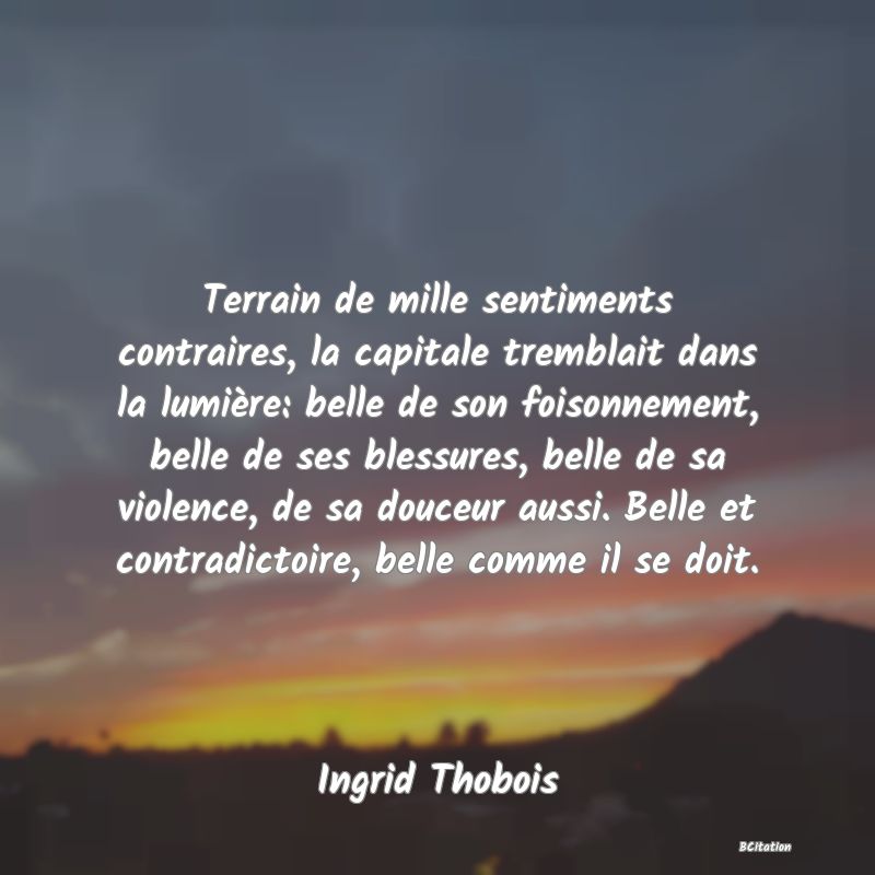 image de citation: Terrain de mille sentiments contraires, la capitale tremblait dans la lumière: belle de son foisonnement, belle de ses blessures, belle de sa violence, de sa douceur aussi. Belle et contradictoire, belle comme il se doit.