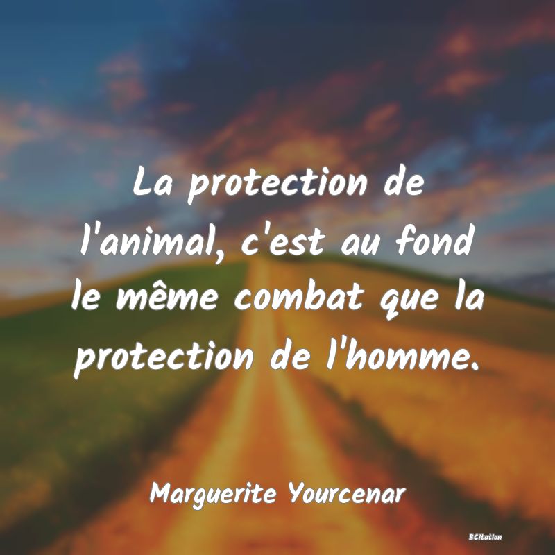 image de citation: La protection de l'animal, c'est au fond le même combat que la protection de l'homme.