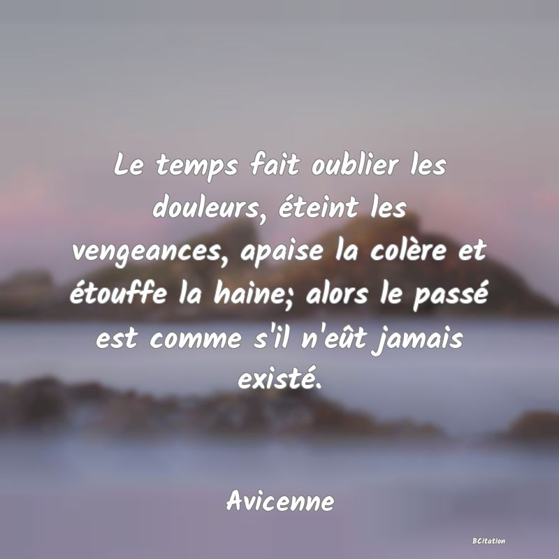 image de citation: Le temps fait oublier les douleurs, éteint les vengeances, apaise la colère et étouffe la haine; alors le passé est comme s'il n'eût jamais existé.