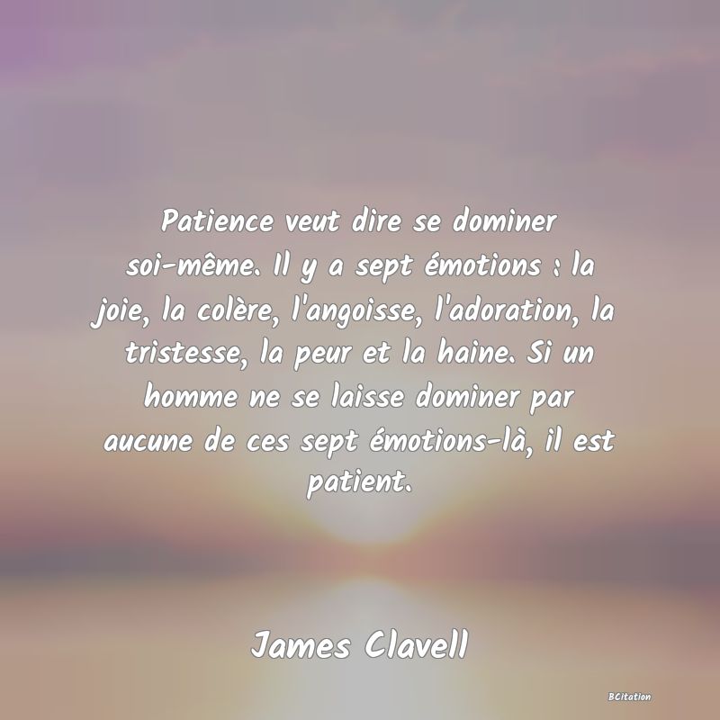 image de citation: Patience veut dire se dominer soi-même. Il y a sept émotions : la joie, la colère, l'angoisse, l'adoration, la tristesse, la peur et la haine. Si un homme ne se laisse dominer par aucune de ces sept émotions-là, il est patient.