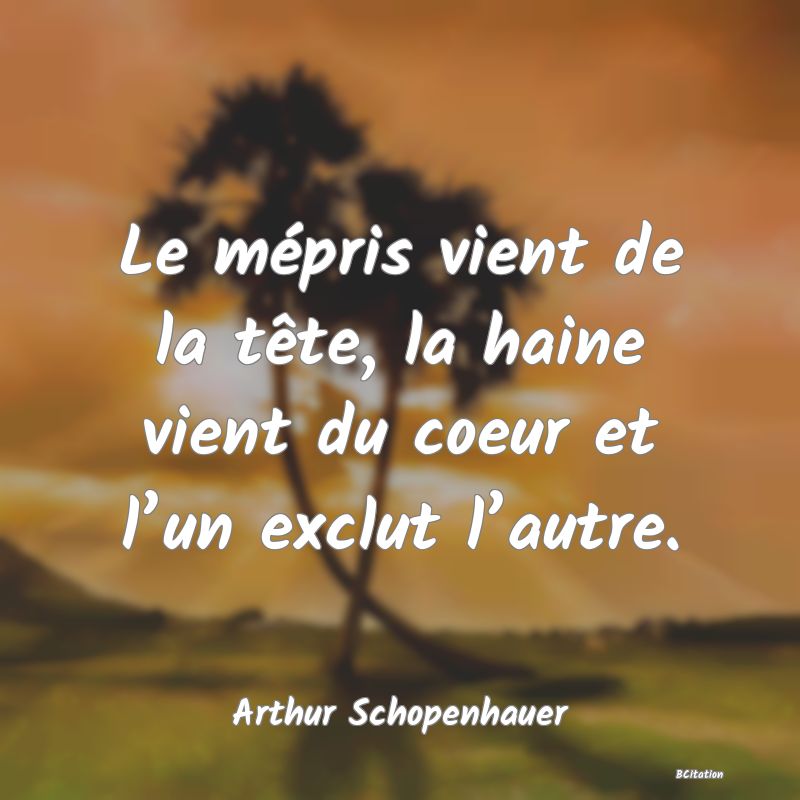 Belle Citation - Le mépris vient de la tête, la haine vient du coeur et l’un exclut l’autre. - Arthur Schopenhauer