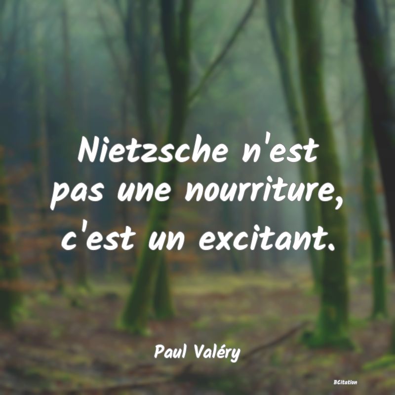 image de citation: Nietzsche n'est pas une nourriture, c'est un excitant.