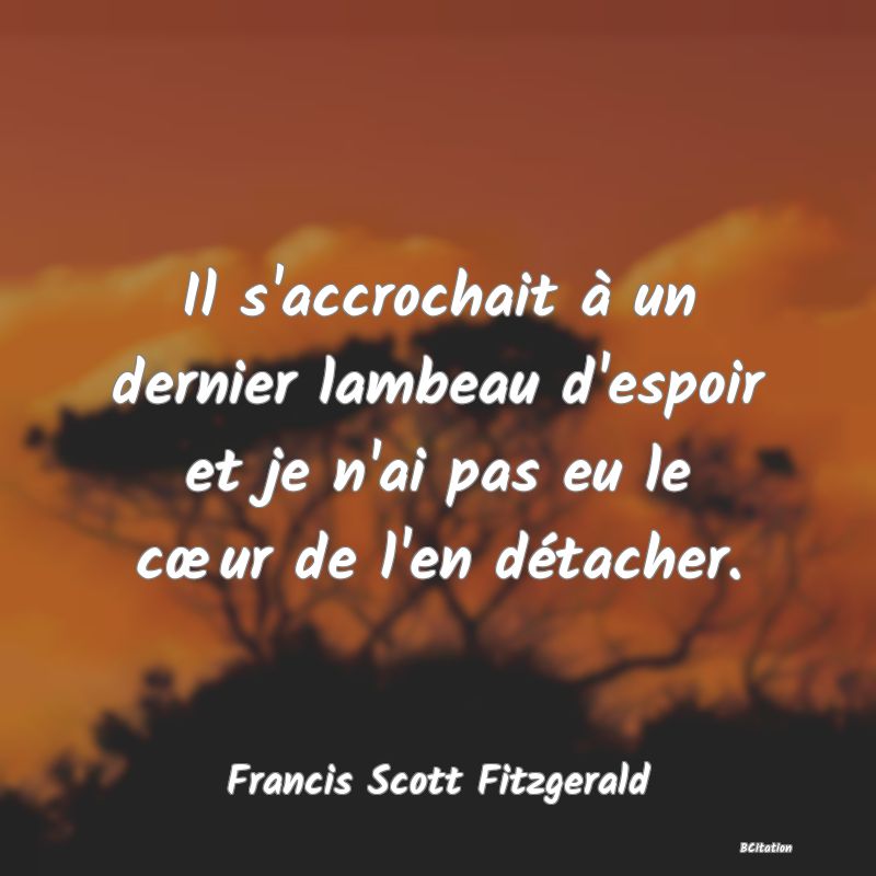 Belle Citation - Il s'accrochait à un dernier lambeau d'espoir et je n'ai pas eu le cœur de l'en détacher. - Francis Scott Fitzgerald
