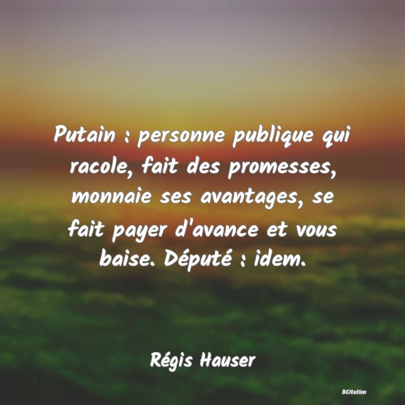 image de citation: Putain : personne publique qui racole, fait des promesses, monnaie ses avantages, se fait payer d'avance et vous baise. Député : idem.