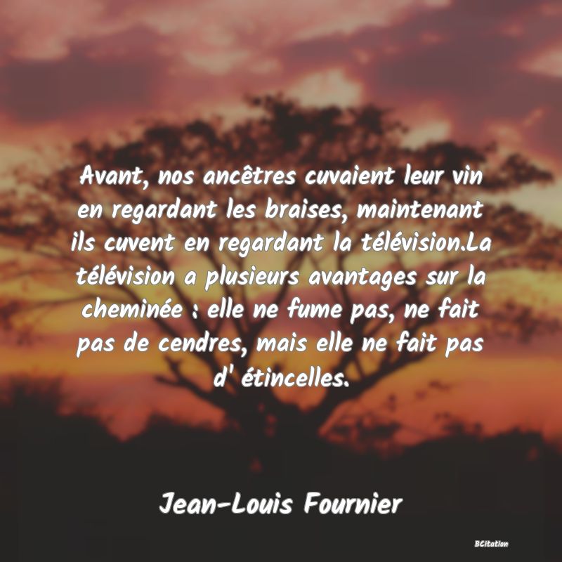 image de citation: Avant, nos ancêtres cuvaient leur vin en regardant les braises, maintenant ils cuvent en regardant la télévision.La télévision a plusieurs avantages sur la cheminée : elle ne fume pas, ne fait pas de cendres, mais elle ne fait pas d' étincelles.