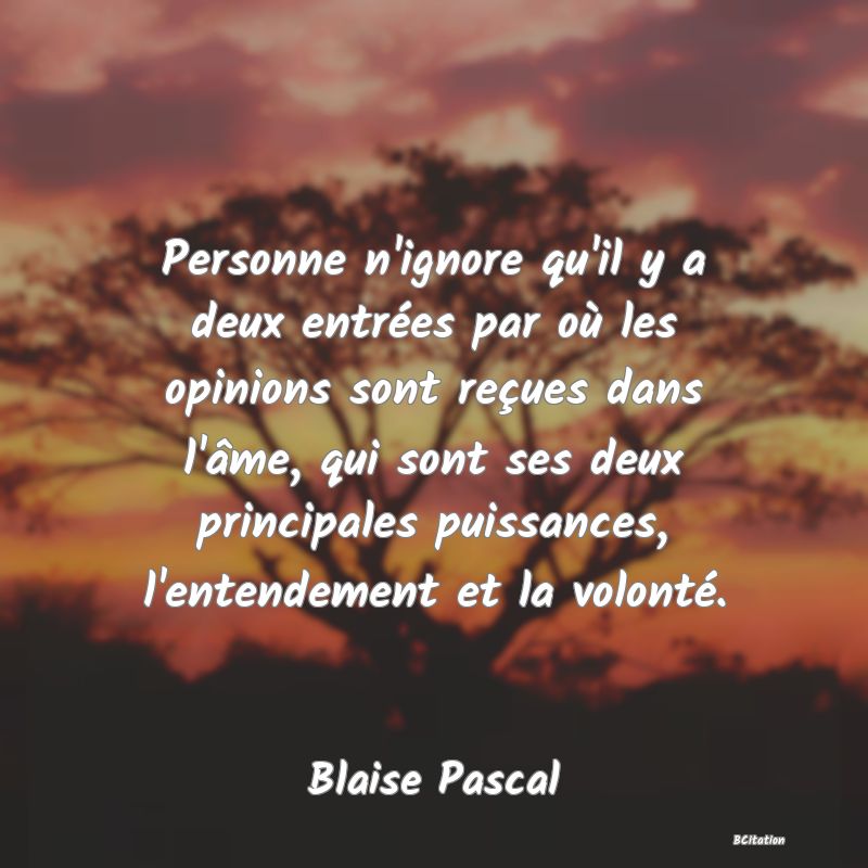 image de citation: Personne n'ignore qu'il y a deux entrées par où les opinions sont reçues dans l'âme, qui sont ses deux principales puissances, l'entendement et la volonté.