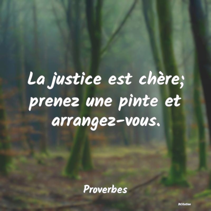 Belle Citation - La justice est chère; prenez une pinte et arrangez-vous. - Proverbes