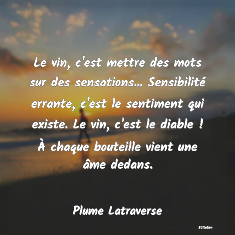 image de citation: Le vin, c'est mettre des mots sur des sensations... Sensibilité errante, c'est le sentiment qui existe. Le vin, c'est le diable ! À chaque bouteille vient une âme dedans.