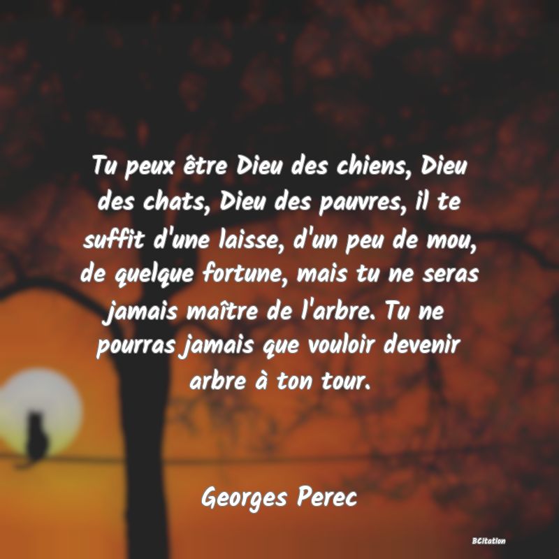 image de citation: Tu peux être Dieu des chiens, Dieu des chats, Dieu des pauvres, il te suffit d'une laisse, d'un peu de mou, de quelque fortune, mais tu ne seras jamais maître de l'arbre. Tu ne pourras jamais que vouloir devenir arbre à ton tour.