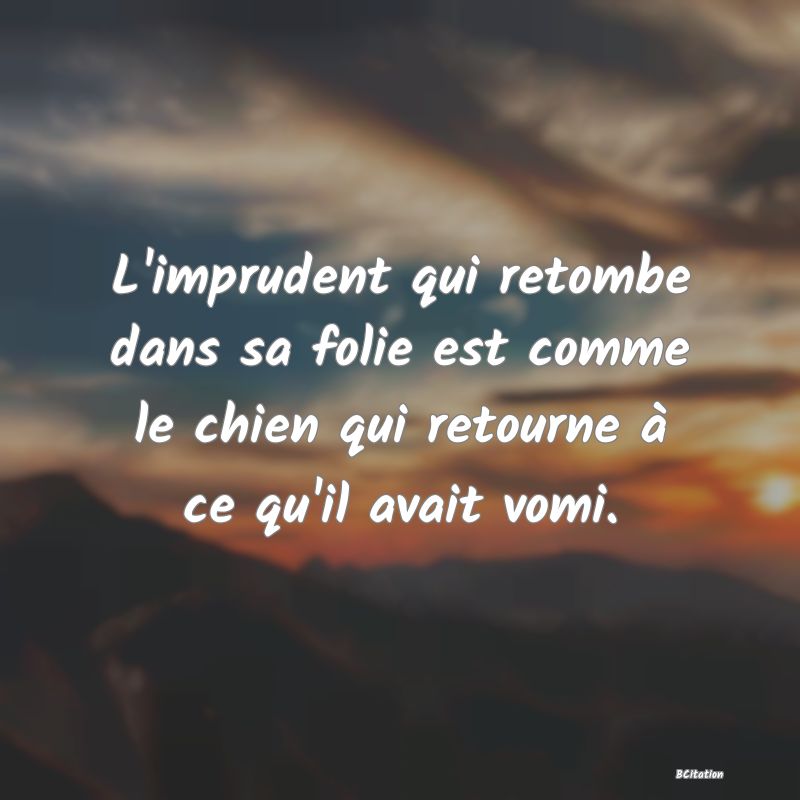 image de citation: L'imprudent qui retombe dans sa folie est comme le chien qui retourne à ce qu'il avait vomi.