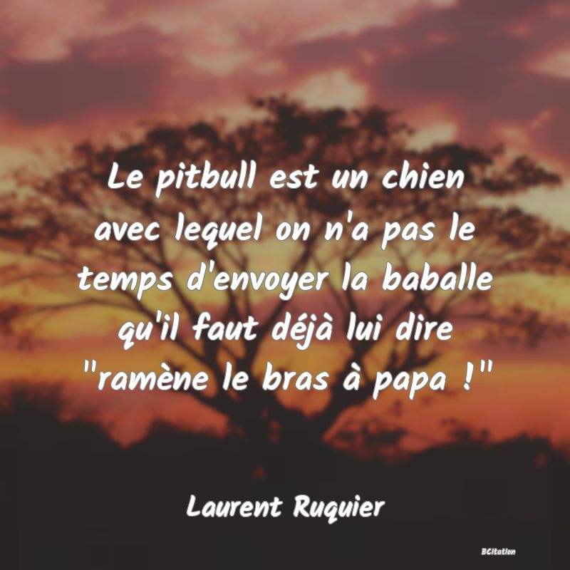 Belle Citation - Le pitbull est un chien avec lequel on n'a pas le temps d'envoyer la baballe qu'il faut déjà lui dire 