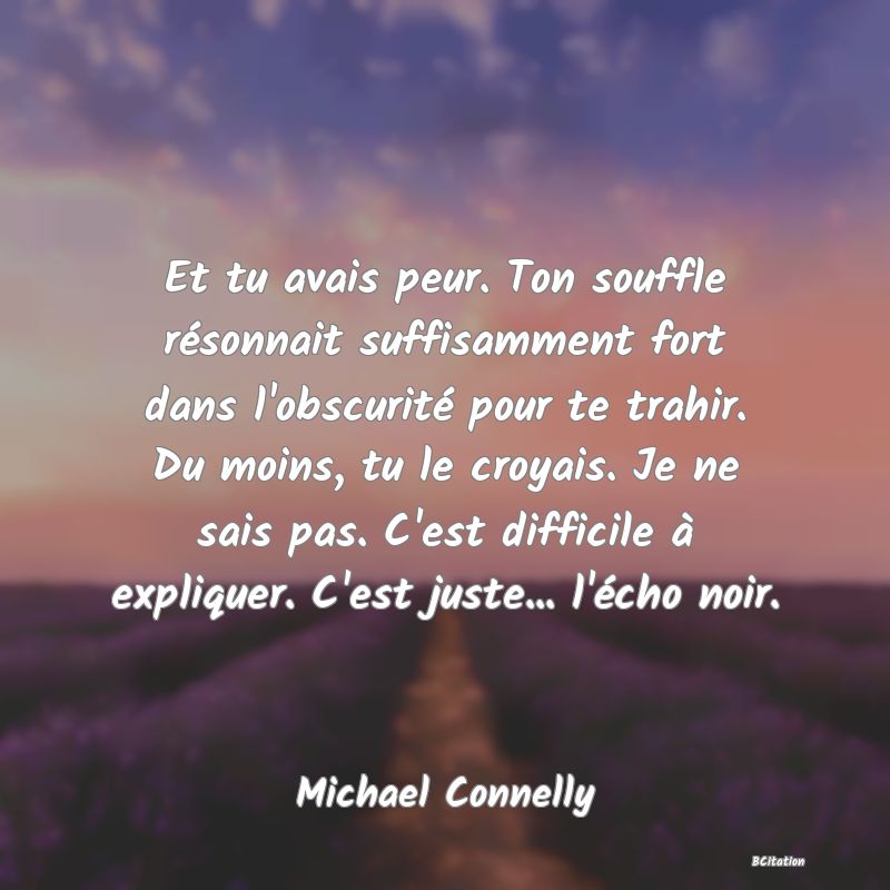 image de citation: Et tu avais peur. Ton souffle résonnait suffisamment fort dans l'obscurité pour te trahir. Du moins, tu le croyais. Je ne sais pas. C'est difficile à expliquer. C'est juste... l'écho noir.