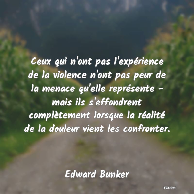 image de citation: Ceux qui n'ont pas l'expérience de la violence n'ont pas peur de la menace qu'elle représente - mais ils s'effondrent complètement lorsque la réalité de la douleur vient les confronter.