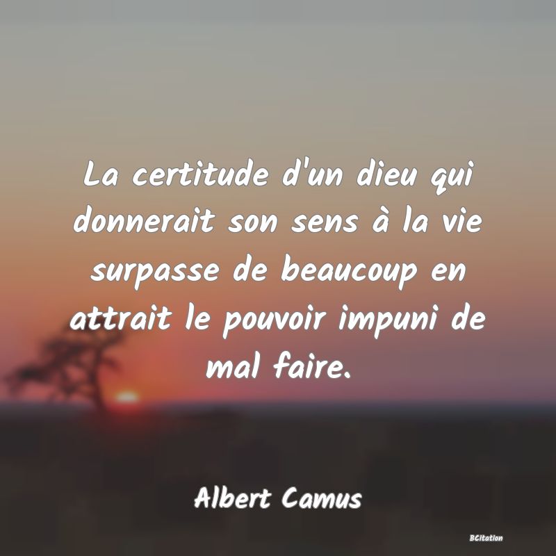 image de citation: La certitude d'un dieu qui donnerait son sens à la vie surpasse de beaucoup en attrait le pouvoir impuni de mal faire.