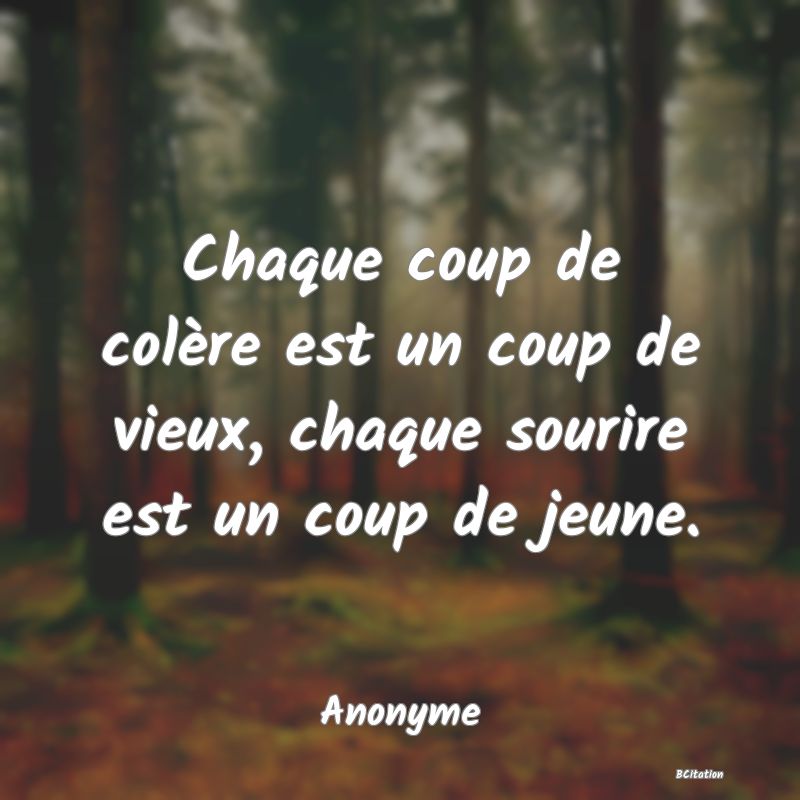 Belle Citation - Chaque coup de colère est un coup de vieux, chaque sourire est un coup de jeune. - Anonyme