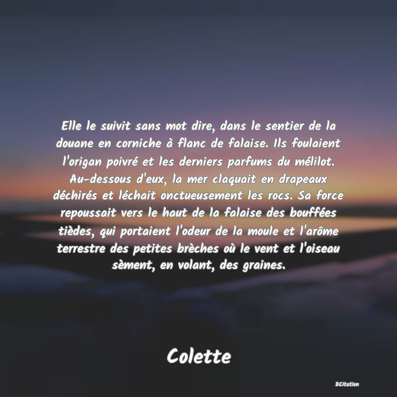 Belle Citation - Elle le suivit sans mot dire, dans le sentier de la douane en corniche à flanc de falaise. Ils foulaient l'origan poivré et les derniers parfums du mélilot. Au-dessous d'eux, la mer claquait en drapeaux déchirés et léchait onctueusement les rocs. Sa force repoussait vers le haut de la falaise des bouffées tièdes, qui portaient l'odeur de la moule et l'arôme terrestre des petites brèches où le vent et l'oiseau sèment, en volant, des graines. - Colette