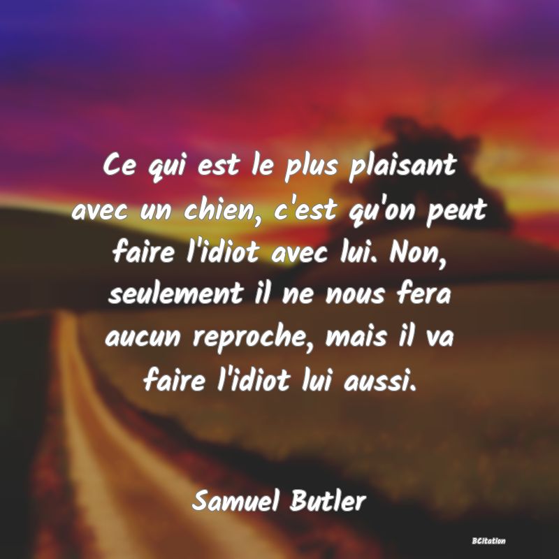 image de citation: Ce qui est le plus plaisant avec un chien, c'est qu'on peut faire l'idiot avec lui. Non, seulement il ne nous fera aucun reproche, mais il va faire l'idiot lui aussi.