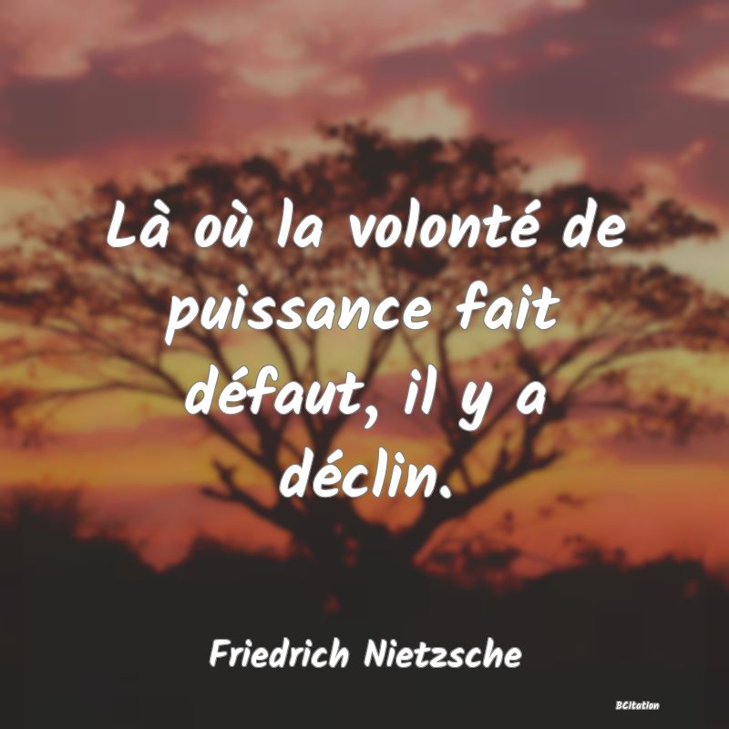 image de citation: Là où la volonté de puissance fait défaut, il y a déclin.