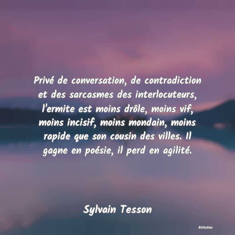 Belle Citation - Privé de conversation, de contradiction et des sarcasmes des interlocuteurs, l'ermite est moins drôle, moins vif, moins incisif, moins mondain, moins rapide que son cousin des villes. Il gagne en poésie, il perd en agilité. - Sylvain Tesson
