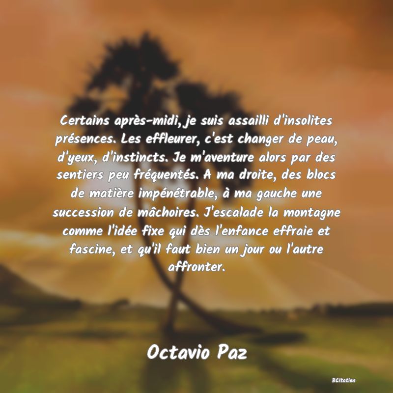 Belle Citation - Certains après-midi, je suis assailli d'insolites présences. Les effleurer, c'est changer de peau, d'yeux, d'instincts. Je m'aventure alors par des sentiers peu fréquentés. A ma droite, des blocs de matière impénétrable, à ma gauche une succession de mâchoires. J'escalade la montagne comme l'idée fixe qui dès l'enfance effraie et fascine, et qu'il faut bien un jour ou l'autre affronter. - Octavio Paz