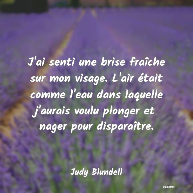 image de citation: J'ai senti une brise fraîche sur mon visage. L'air était comme l'eau dans laquelle j'aurais voulu plonger et nager pour disparaître.