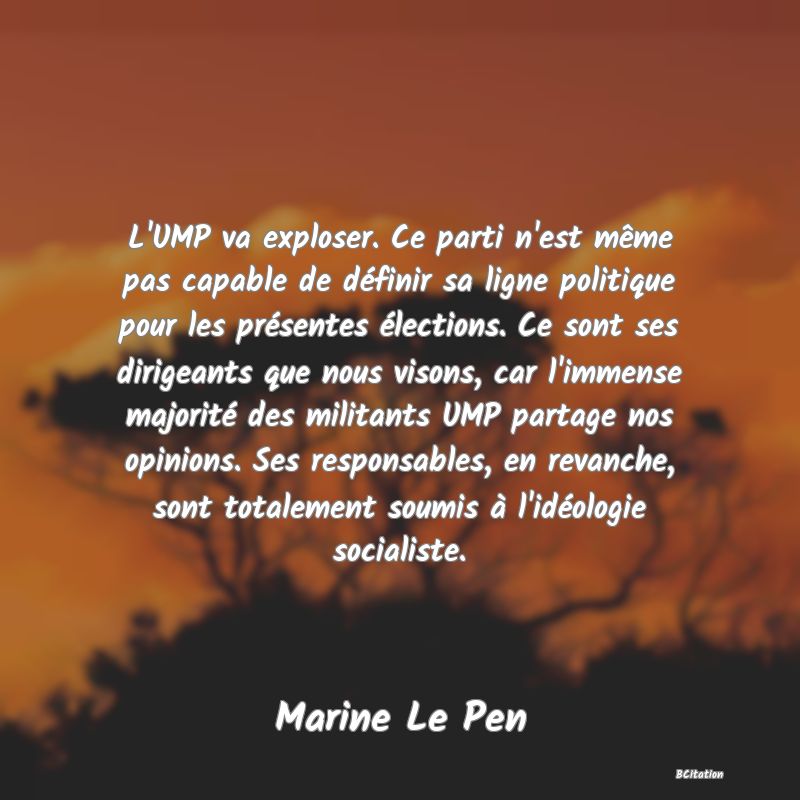 image de citation: L'UMP va exploser. Ce parti n'est même pas capable de définir sa ligne politique pour les présentes élections. Ce sont ses dirigeants que nous visons, car l'immense majorité des militants UMP partage nos opinions. Ses responsables, en revanche, sont totalement soumis à l'idéologie socialiste.