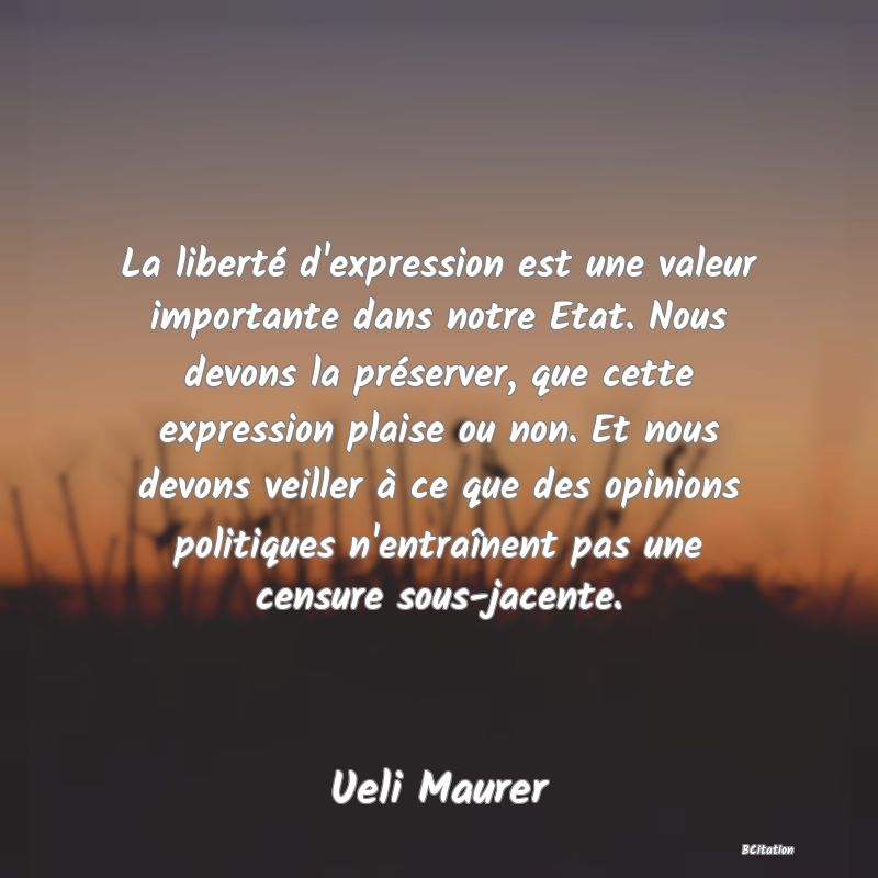 image de citation: La liberté d'expression est une valeur importante dans notre Etat. Nous devons la préserver, que cette expression plaise ou non. Et nous devons veiller à ce que des opinions politiques n'entraînent pas une censure sous-jacente.