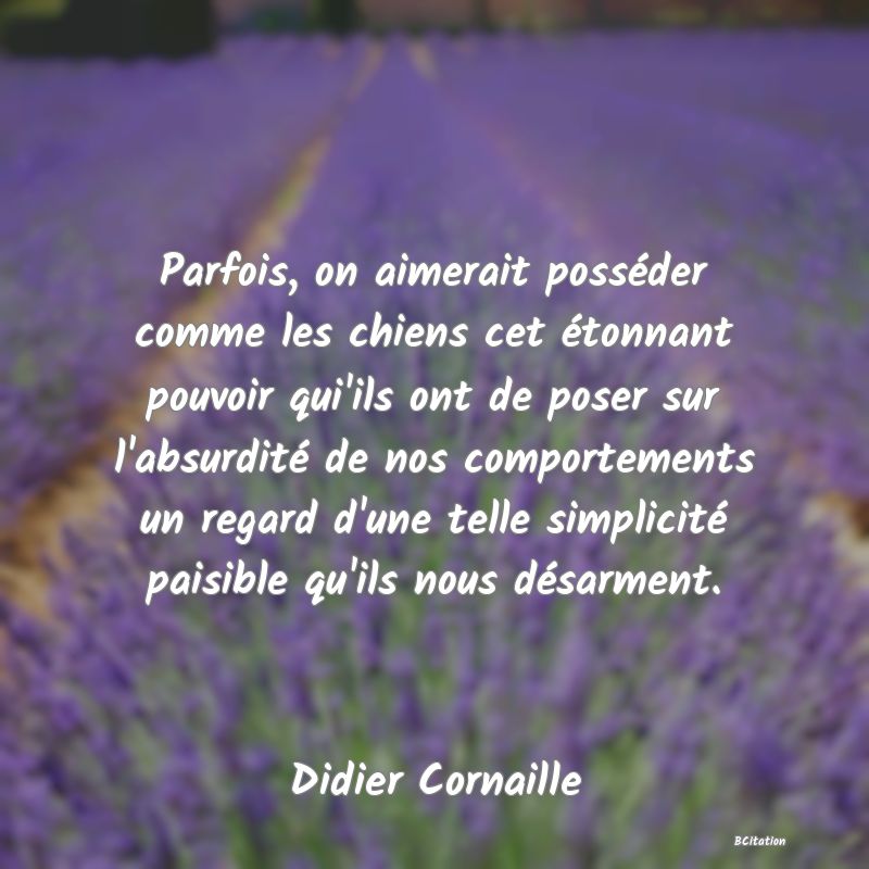 image de citation: Parfois, on aimerait posséder comme les chiens cet étonnant pouvoir qui'ils ont de poser sur l'absurdité de nos comportements un regard d'une telle simplicité paisible qu'ils nous désarment.