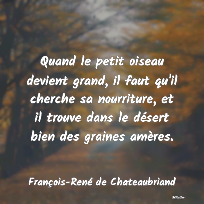 image de citation: Quand le petit oiseau devient grand, il faut qu'il cherche sa nourriture, et il trouve dans le désert bien des graines amères.