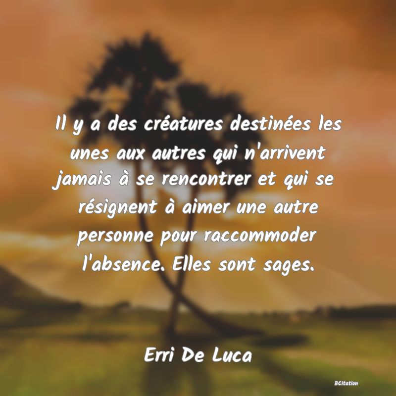 image de citation: Il y a des créatures destinées les unes aux autres qui n'arrivent jamais à se rencontrer et qui se résignent à aimer une autre personne pour raccommoder l'absence. Elles sont sages.