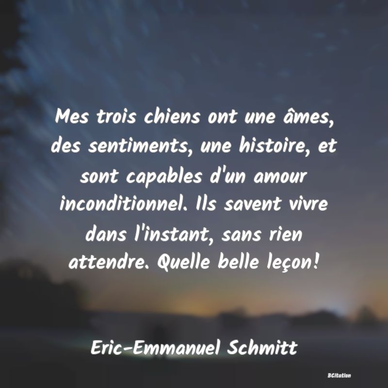 Belle Citation - Mes trois chiens ont une âmes, des sentiments, une histoire, et sont capables d'un amour inconditionnel. Ils savent vivre dans l'instant, sans rien attendre. Quelle belle leçon! - Eric-Emmanuel Schmitt