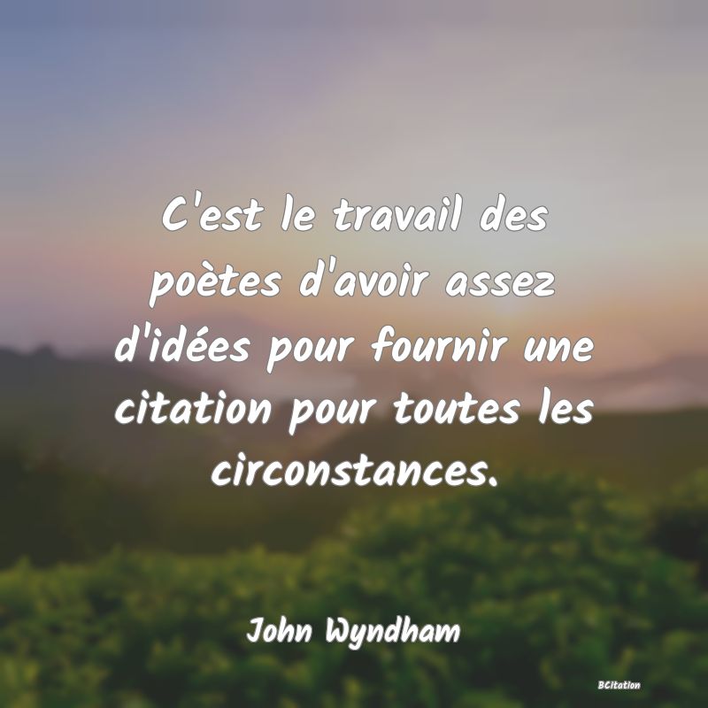 image de citation: C'est le travail des poètes d'avoir assez d'idées pour fournir une citation pour toutes les circonstances.