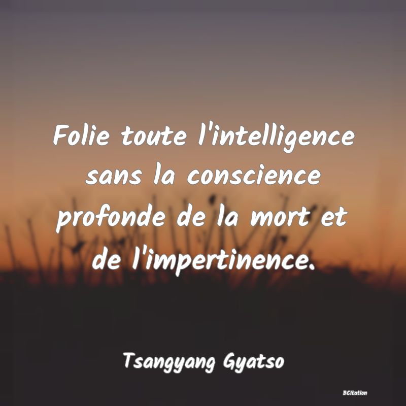 image de citation: Folie toute l'intelligence sans la conscience profonde de la mort et de l'impertinence.