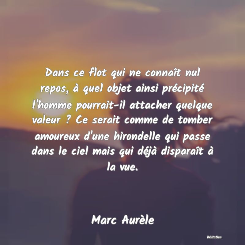 image de citation: Dans ce flot qui ne connaît nul repos, à quel objet ainsi précipité l'homme pourrait-il attacher quelque valeur ? Ce serait comme de tomber amoureux d'une hirondelle qui passe dans le ciel mais qui déjà disparaît à la vue.