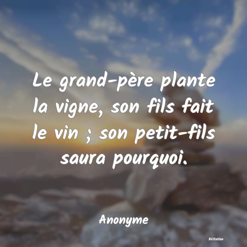 Belle Citation - Le grand-père plante la vigne, son fils fait le vin ; son petit-fils saura pourquoi. - Anonyme