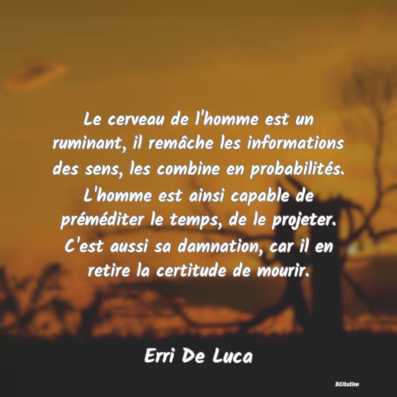 image de citation: Le cerveau de l'homme est un ruminant, il remâche les informations des sens, les combine en probabilités. L'homme est ainsi capable de préméditer le temps, de le projeter. C'est aussi sa damnation, car il en retire la certitude de mourir.