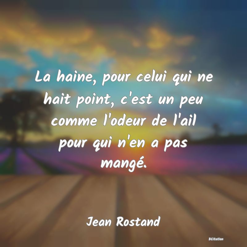 image de citation: La haine, pour celui qui ne hait point, c'est un peu comme l'odeur de l'ail pour qui n'en a pas mangé.