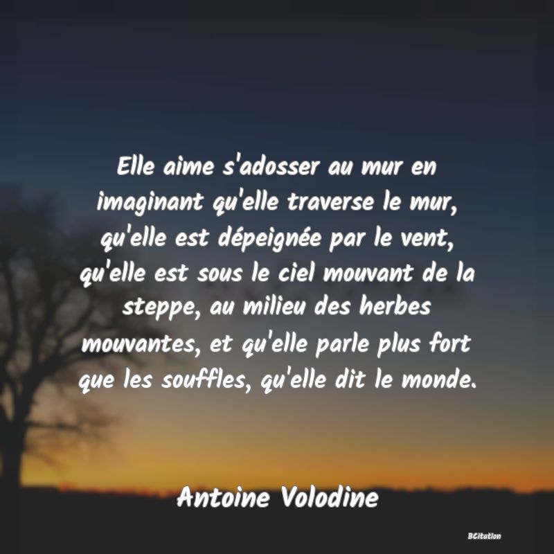 image de citation: Elle aime s'adosser au mur en imaginant qu'elle traverse le mur, qu'elle est dépeignée par le vent, qu'elle est sous le ciel mouvant de la steppe, au milieu des herbes mouvantes, et qu'elle parle plus fort que les souffles, qu'elle dit le monde.