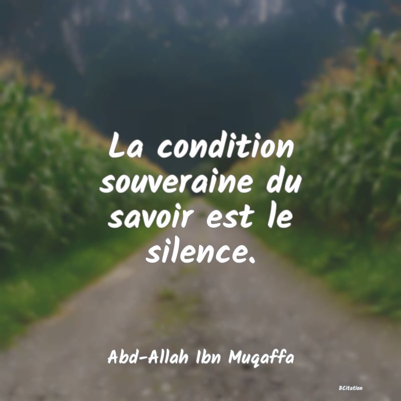 image de citation: La condition souveraine du savoir est le silence.